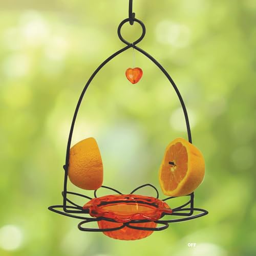 Birds Choice Flower-Shaped Oriole Feeder for Jelly & Oranges | 3oz, Orange | Removable Cup and Fruit Pegs with Heart Ornament, Sturdy for Garden and Backyard, Orange Finish - style: Flower