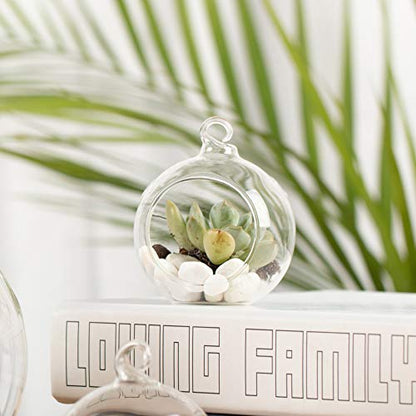 WGV Hanging Terrarium Globe, Width 2.25", Height 2.75", DIY Air Succulent Planter, Clear Glass Vase Orb with Flat Bottom, Candle Holder for Windowsill Outdoor Garden Decor, 24 Pieces Bulk - size: 2" Flat Bottom