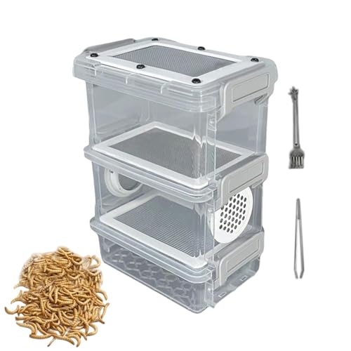 Mealworm Breeding Kit | Stable Multi-Layer Filter Breathable Container | Small Animal Breeding Container | for Reptiles Lizards Frogs Tortoises Backyard