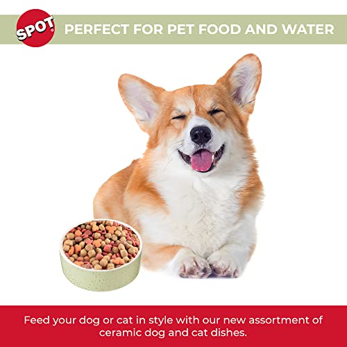 SPOT Speckled Stoneware- Round Ceramic Food/Water Bowl for Pets, Dishwasher Safe, Ideal for Small Dogs, Cats, Reptiles, Large Birds, 5in Light Green, 1.75 Cup (14oz)