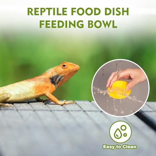 4PCS Gecko Lizard Food Bowls, Small Reptile Food Water Dish Bowl, Silicone Feeding Dish Habitat Accessories for Hermit Crab Bearded Dragon Snake Frog - color: 4PCS Colorful