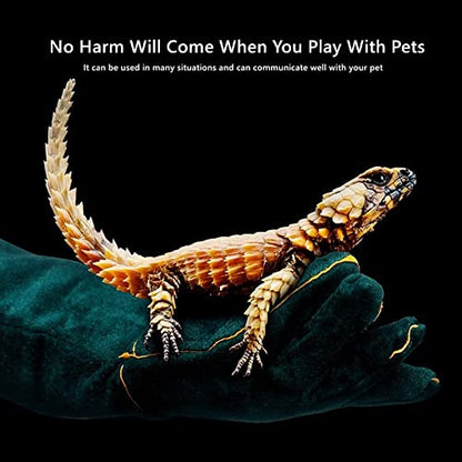 23inch Animal Handling Gloves,Animal Control Gloves Bite | Resistant Snake Proof Cowhide Reinforced Leather Protection Dog Training Glove for Cats Scratch Reptiles Birds Falcon - color: Green（23.62"）