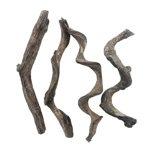 Reptile Decor 4PCS Natural Forest Branch Terrarium Habitat Wood Decoration Lizard Climbing Tree Branch for Bearded Dragon Gecko Snake Frog Chameleon Spider