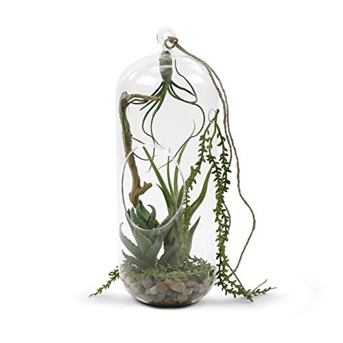WGV Hanging Glass Plant Terrarium, Width 5", Height 13", Lantern DIY Air Succulent Planter Clear Tea Light Votive Candle Holder, Wedding Event Office Home Outdoor Decor, 1 Piece