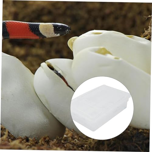 VOSAREA Hatching Incubation Box for Reptiles Plastic Egg Incubator Tray for Lizards Snakes Turtles Practical Breeding Hatchery Ventilation and Suction Cups