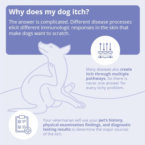 MiconaHex+Triz Mousse, 7.1 oz | Antibiofilm, Moisturizing; Packaging May Vary