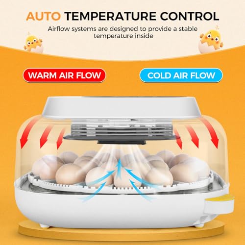 Sailnovo 24 Eggs Incubator, 4 Modes, Temp Control & Humidity Display, Grey | 3 Preset Modes, Built-in Candler, 360 View Window, Humidity Alarm, Easy Clean, Chicken Duck Quail eggs, Home Classroom Farm - color: Grey, size: 24 Eggs