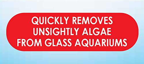 API HAND HELD ALGAE PAD For Glass Aquariums 1-Count Container