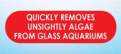 API HAND HELD ALGAE PAD For Glass Aquariums 1-Count Container