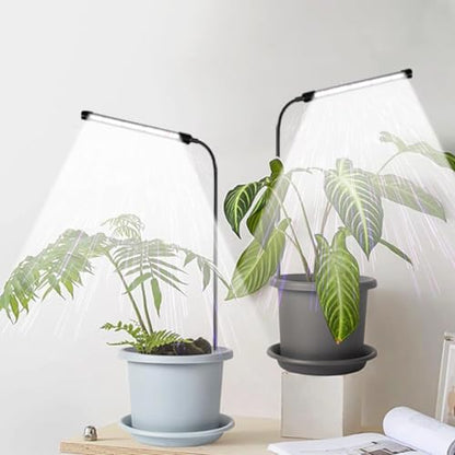 Grow Light 2 Pack, 6000K Full Spectrum Gooseneck Growing Lamp for Indoor Bonsai Pot Succulents Micro Greens Mini Plants, Dimmable & Auto Timer 4 8 12H - size: 30W