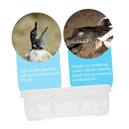 BESPORTBLE Compartments Reptile Egg Incubator Tray for Hatching Lizards and Geckos Durable Breeding Box with Temperature Gauge Efficient Egg Holder for Reptile Hatchery