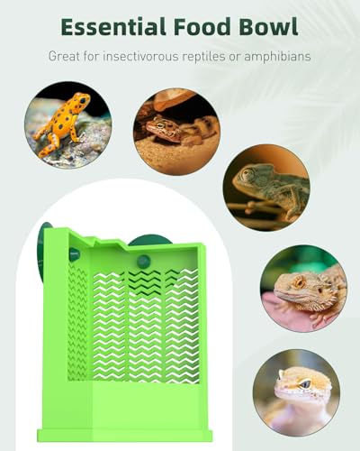 Pawfly Bearded Dragon Feeder - Escape-Proof Corner Reptile Food Box, Wall-Mounted with Suction Cups for Insects - Bug Bowl for Lizards, Geckos, Chameleons & Frogs - color: Corner Mounted Feeding Dish, size: Small