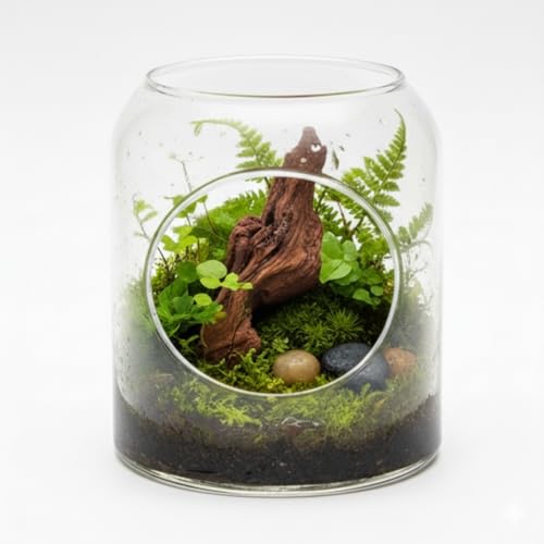 EmoursTM Aquarium Sinkable Driftwood Fish Tank Decoration (Small) - size: Small