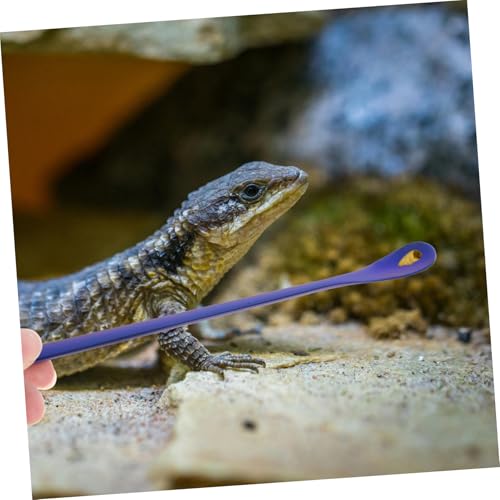 BESPORTBLE 2pcs Stainless Steel Reptile Food Spoon Pet Feeding Tool for Lizards Geckos and Small Animals Design Easy to Use and