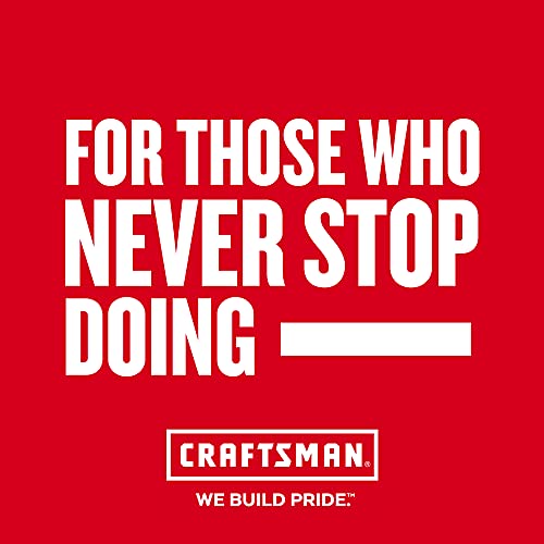 CRAFTSMAN CMMT98345 CRFT LED Inspection Mirror, Red