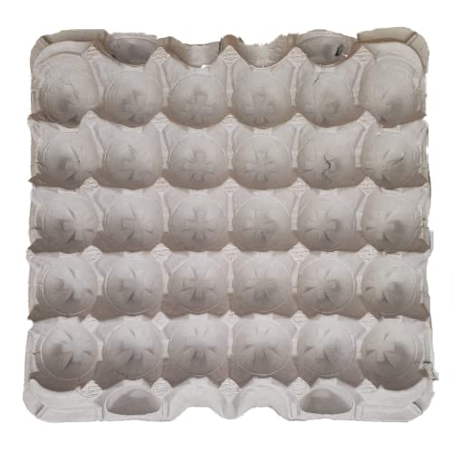 Dubia Roach Colony Starter Kit, 1Lb Organic Feeder Insect Gut Loading Chow, Water Crystals, 6 Egg Flats, for Breeding Insects, Cricket Alternative, for Bearded Dragons, Leopard Geckos, Reptiles