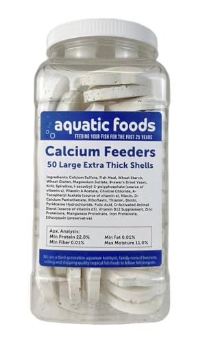 Calcium Feeders Extra Thick Large Shells... 50ct Large Jar | Extra Thick Shells, For Shrimp, Snails, Crabs, Crayfish, Hermit Crabs, For Tropical Fish - size: 50 Count (Pack of 1)
