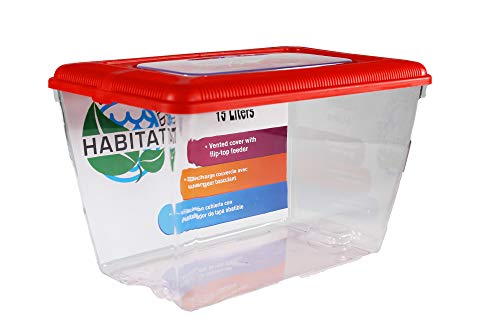 Penn-Plax Small World Habitat – Portable Clear and Transparent Plastic Tank – Excellent for Small Critters and Creatures – Easy to Clean & Handle – 4 Gallon - size: 4 Gallon