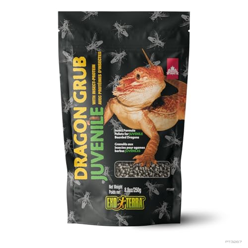 Exo Terra Dragon Grub, Juvenile, 8.8 oz | High-Protein Bearded Dragon Food with Black Soldier Fly Larvae