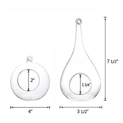 Mkono Hanging Glass Terrarium, 2 Pack Air Plant Holder Globe Hanger Planter