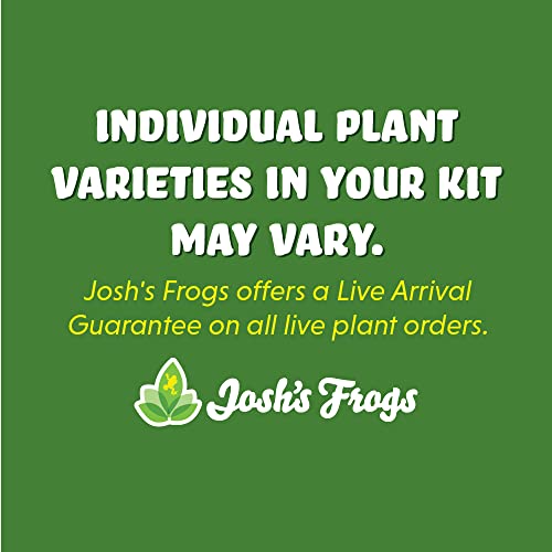 Josh's Frogs Desert Plant Kits for Arid Bioactive Terrariums (Extra Small) - size: Extra Small