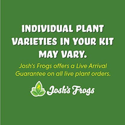 Josh's Frogs Desert Plant Kits for Arid Bioactive Terrariums (Extra Small) - size: Extra Small