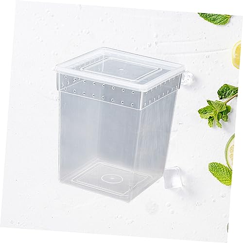 Breeding Box for Reptiles Lightweight Spider Lizard Habitat Ventilated Feeding Container Buckles for Safe Transport and Quarantine