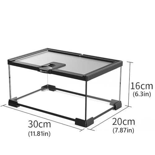 Reptile Float Glass Growth Tank, Transparent Reptile Terrarium with Wiring Hole, Eco Rainforest Feeding Box, Reptile Breeding Box Suitable for Stacking, Top Screen Ventilation Escape Proof Lid, - color: D