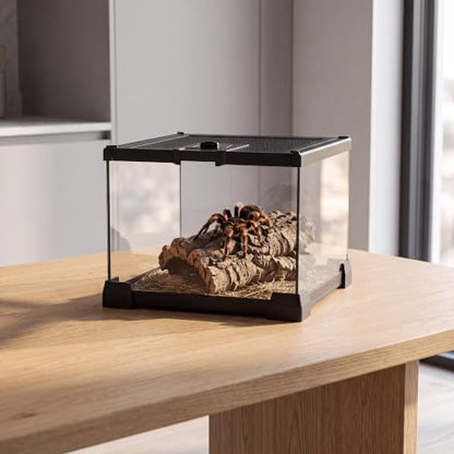 Mini Glass Reptile Enclosure Terrarium 8"x8"x6" | Top-Opening Mesh Lid with Feeding Hole, Fully Assembled Tank for Tarantulas, Isopods,Froglets & Tiny Reptiles - size: 8" x 8" x 6"
