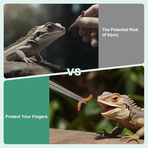 Syn-zer Reptile Feeding Tongs, 10.6" Straight & Curved | 2 Pcs Stainless Steel, Rustproof, Aquarium, Terrarium, Reptile, Bearded Dragon, Snake, Lizard, Crafts, Planting - color: Silver
