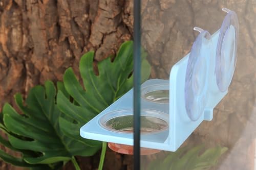 Crested Gecko Feeding Ledge with 10PCS Gecko Food Water Dish - color: Blue