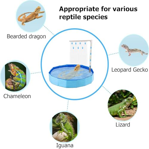 Large Electric Bearded Dragon Pool, Electric Bathtub for Bearded Dragons, Bearded Dragon Swimming Pool with Faucet, Bearded Dragon Accessories