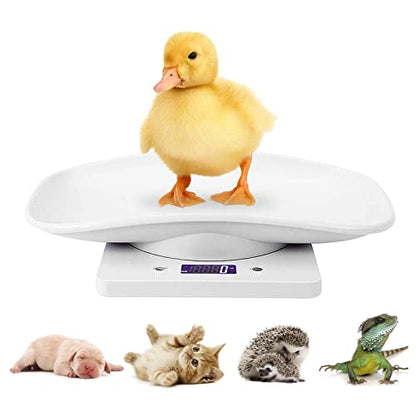 Digital Mini Pet Scale, LCD Electronic Weighing Scale with Tray, Max.33 lbs | Portable Small Animal Weight Scale, Multifunction Kitchen Scale for Food/Puppy/Kitten/Lizard/Hamster/Tortoise/Whelping