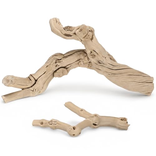 Natural Large Driftwood for Aquarium, 2 Pieces 10-12" and 16-20" King Root Branches for Reptile Bearded Dragon Lizard Gecko Climbing, Fish Tank Landscaping Decorations