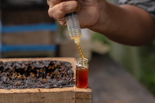 BH Supplies Luer Slip Tip Syringes (No Needle) - Non Sterile, Bulk Packaging (1ML-500) - size: 1ML-500