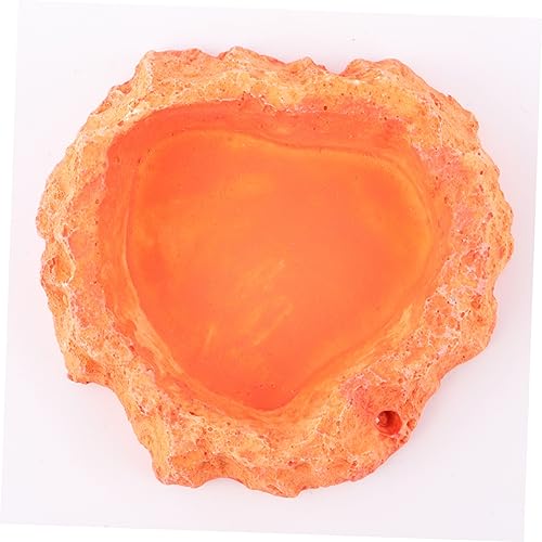 Toddmomy Reptile Water Bowl Lizard Accessories Reptile Food Feeder Bowl Skid-Resistant