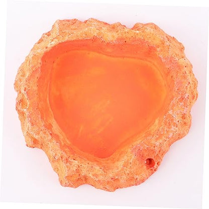 Toddmomy Reptile Water Bowl Lizard Accessories Reptile Food Feeder Bowl Skid-Resistant