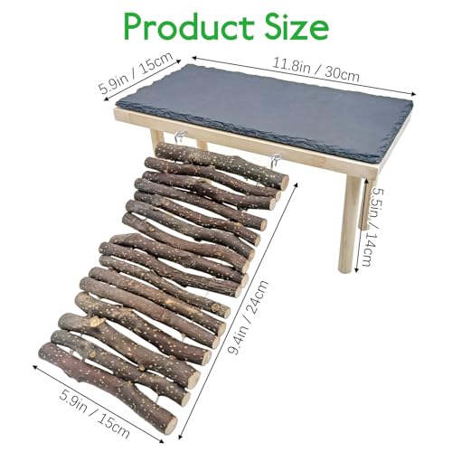 BNOSDM Bearded Dragon Basking Rock Platform with Climbing Ramp Reptiles Hideout Hide Cave Reptile Tank Accessories Suit for Tortoise, Lizard, Toad, Gecko (Small)