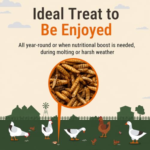 Natural Black Soldier Fly Larvae for Chickens, 85X More Calcium Than Mealworms-High Protein Grub Food Chicken Treats for Hens, Probiotic-Rich Chicken Feed, Calcium-Dense Bird Treat 5lb - size: 5 Pounds