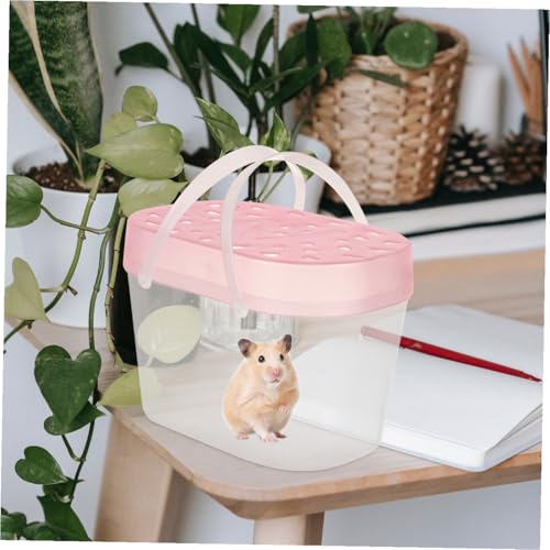 NOLITOY 2pcs Collapsible Cat Carrier Dog Bag Carrier Pet Travel Reptile Cages Outdoor Hamster Cases Handheld Pet Reptile Containers