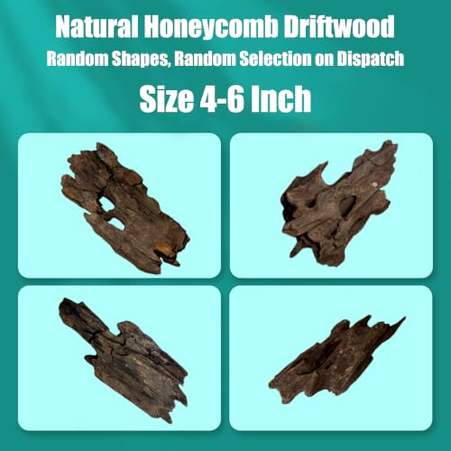 6 PCS Honeycomb Driftwood, 4-6 Inch Natural Large Aquarium Driftwood Branches, Assorted Fish Tank Reptile Terrarium Decor Shrimp Habitat Ornament - color: Honeycomb Driftwood 4 - 6IN