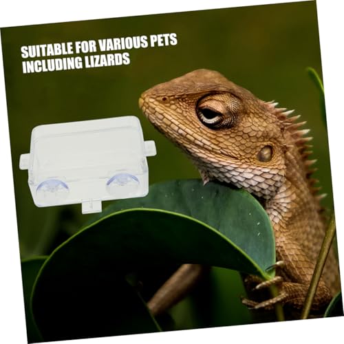 TOYANDONA Reptile Feeding Ledge Reptile Tongs Feeding Suction Cup Food Bowl Insect Water Feeder Bearded Dragon Food Dish