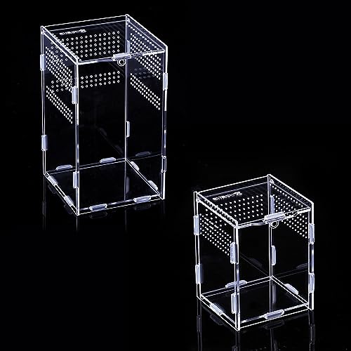 BigKing 2 Packs Reptile Feeding Box, Acrylic Reptile Terrarium Enclosure, Insect Breeding Case, Reptiles Habitat Terrarium for Small Tree Dwelling Reptiles & Amphibians Like Gecko and Frog
