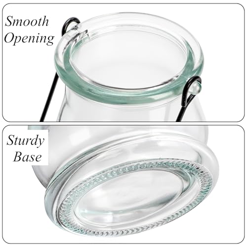 Tebery 12 Pack Wall Hanging Planter Propagation, Glass Pot Terrariums for Indoor Plants, Clear Air Plant Holder Vase for Home Office Decor