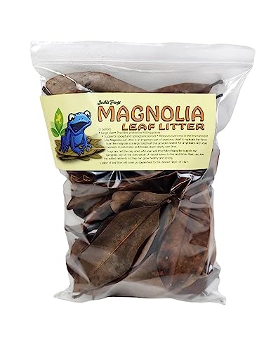 Josh's Frogs Organic Magnolia Leaf Litter, 1 Gallon/40 Leaves | USA Collected