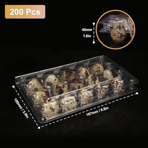 200 Pack Quail Egg Cartons, Clear Plastic Quail Egg Trays, Holds up to 15 Quail Eggs Securely - Your Ultimate Small Eggs Carton Holders for Bulk Storage and Display - size: 15 Grids