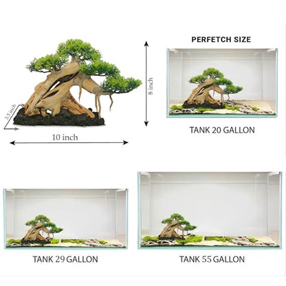 Azil Bonsai Driftwood Aquarium Tree for Aquarium Decor Fish Tank Decorations (10.1'' Length)