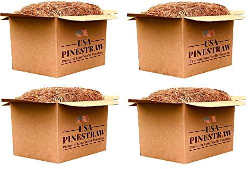 Long Needle Pine Straw Mulch - 100 Sqft Coverage 4 Set - Premium USA Harvested PineStraw for Landscaping, Weed Control, Moisture Retention & Erosion Control - USA Pinestraw - size: Pine Needle Mulch - Covers 100 Sqft 4 set