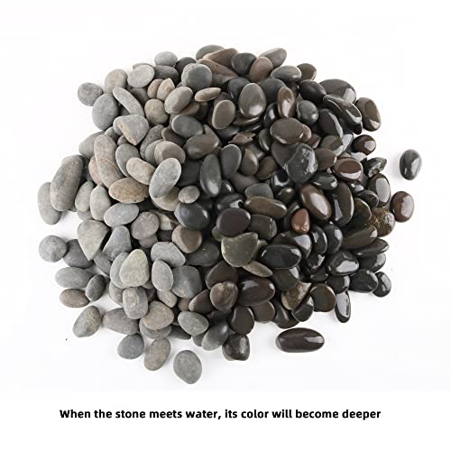 18 Pounds Natural River Rocks Mexican Beach Pebbles for Garden Landscape Stone Paving Stone Grey (1Inch) - size: 18LB, style: Medium