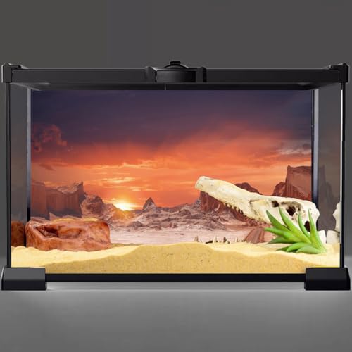 24x12 in Sun Desert Terrarium Backdrop Orange Reptile Habitat Background | AWERT Durable Polyester Background - size: 24x12in/60x30cm